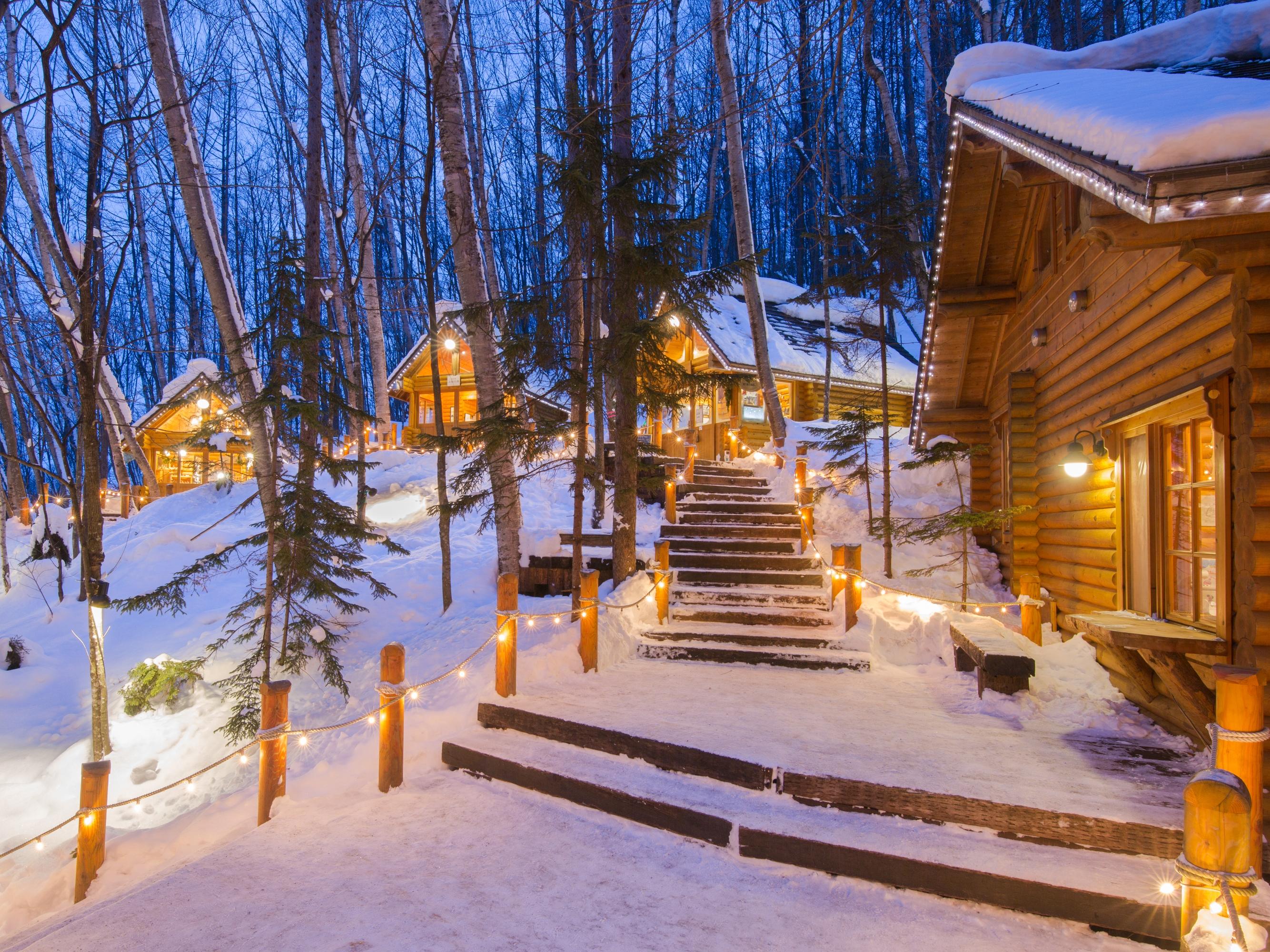 🌲 요정의 테라스(닝구르테라스) 이미지 1